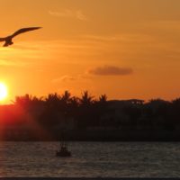 Idyllischer Sonnenuntergang, Urlaub in Cape Coral, Florida